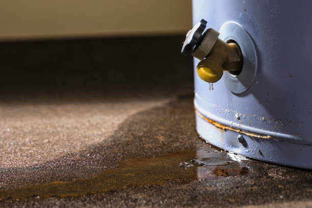 Reliable Indian Hills, NV Water damage restoration Solutions