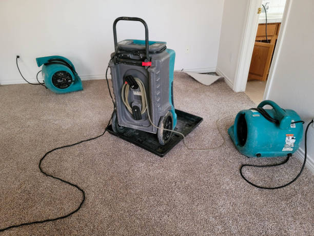 Best Carpet water damage restoration  in Indian Hills, NV