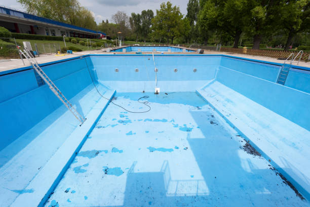 Best Basement water damage restoration  in Indian Hills, NV