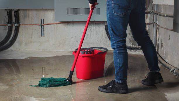 Best 24-hour water damage restoration  in Indian Hills, NV