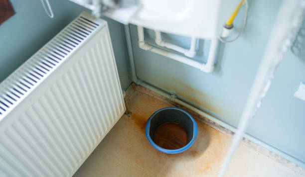 Best Water damage contractors near me  in Indian Hills, NV