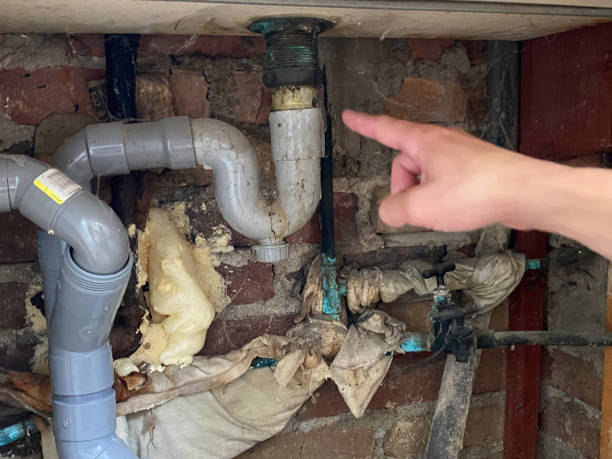 Best Commercial water damage restoration  in Indian Hills, NV