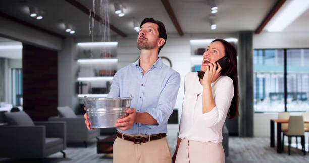 Best Mold removal after water damage  in Indian Hills, NV
