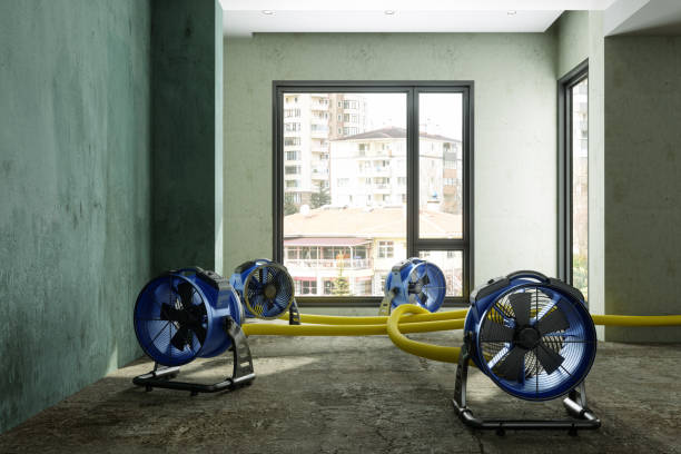 Best Flood restoration services  in Indian Hills, NV