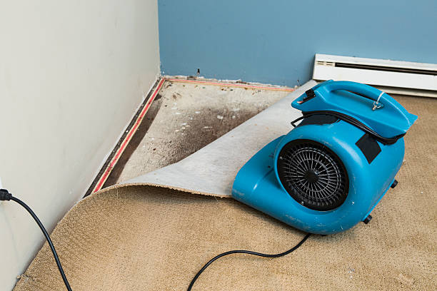 Best Water damage restoration near me  in Indian Hills, NV